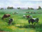 One Dozen Cows