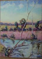 Pecatonica River Grasses