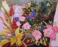 Petunias and Celosia