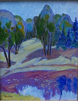Pond at Smoky Lake