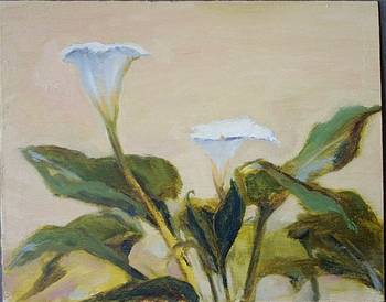 Two Calla Lilies
