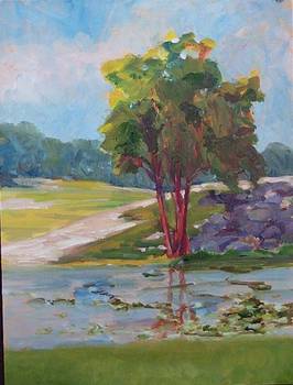 Wingra Park Tree with Lagoon