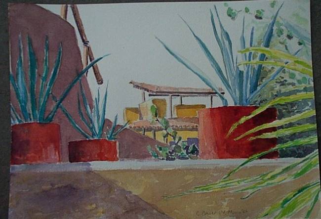 Mexico - Pots at Dolphins