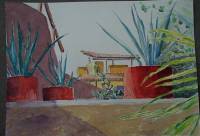 Mexico - Pots at Dolphins