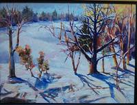 Winter Sunshine on Hillside