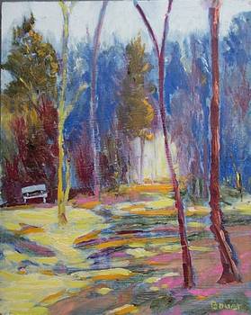 Woodland Path at Bjorklunden