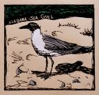 SEAGULL