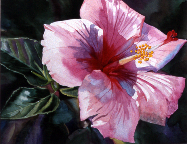 Hybiscus 2