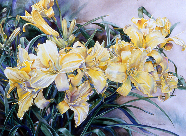 MaryTodd Daylillies