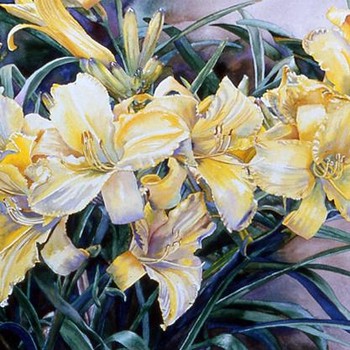 MaryTodd Daylillies