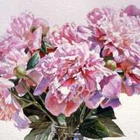 Peonies in Vase on Lace