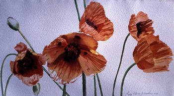Poppies II