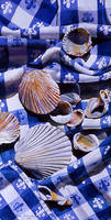 Shells on Blue Checks