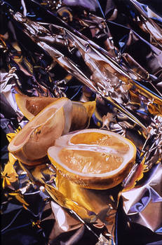 Sliced Lemons Reflected for Lee