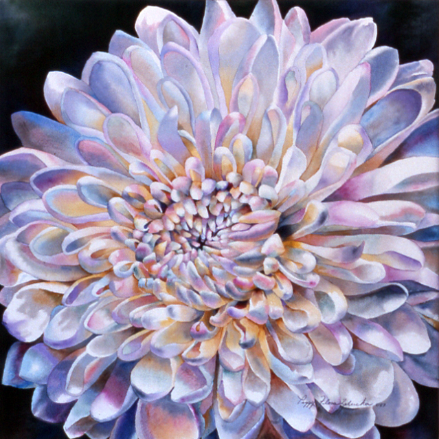 Chrysanthemum