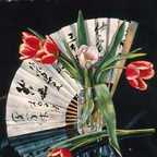 Fan Reflected