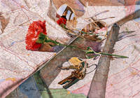 Map with Artist Reflected