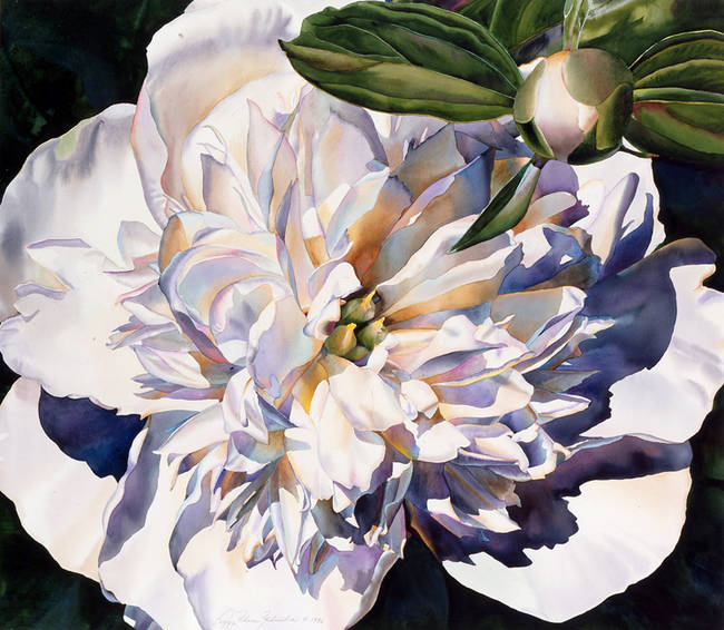White Peony for Peoria