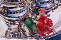 Silver Still Life with Tulip Reflected