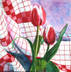 Red Tulips and Red Checks