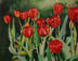 Tulip Stand V