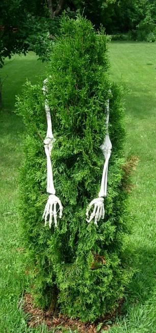 Anthropomorphism, View 1