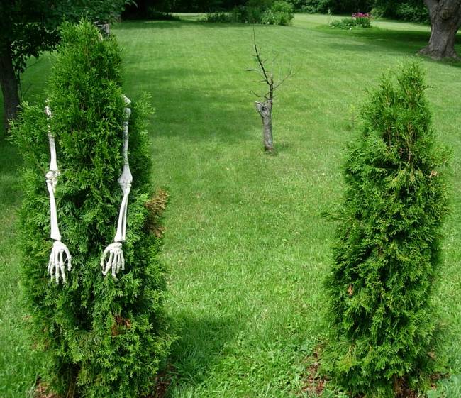 Anthropomorphism, View 2