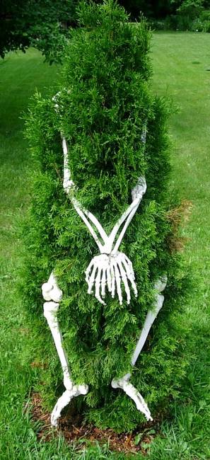 Anthropomorphism, View 3