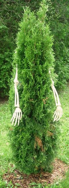 Anthropomorphism, View 4