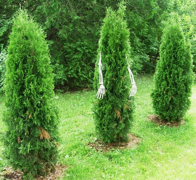 Anthropomorphism, View 5