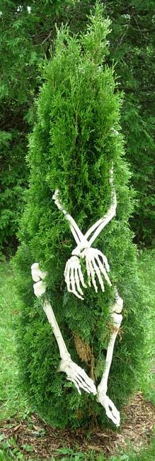 Anthropomorphism, View 6