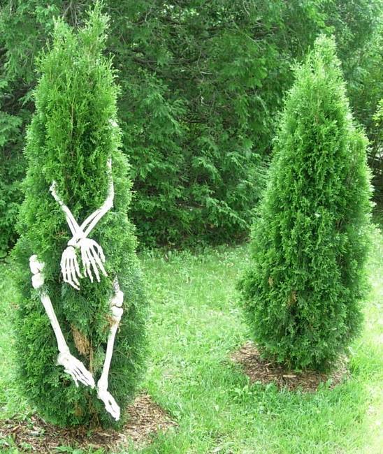 Anthropomorphism, View 7