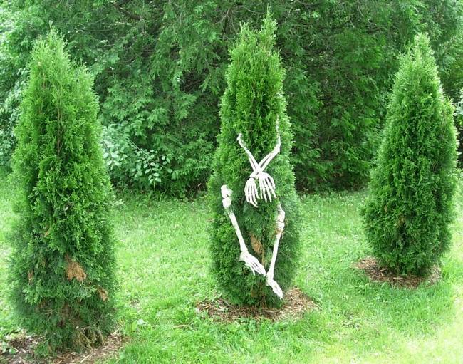 Anthropomorphism, View 8