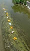 Bedecked Canal 1