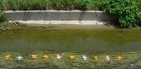 Bedecked Canal 3
