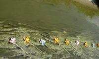 Bedecked Canal 4