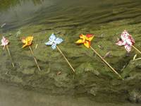 Bedecked Canal 5