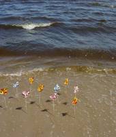 Bedecked, Lake, View 3