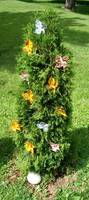 Bedecked, Proud 3