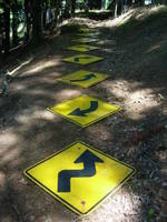 Signage, Curves 10