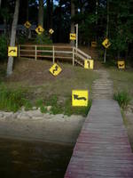 Signage, Curves 2