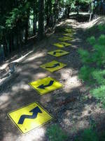 Signage, Curves 9