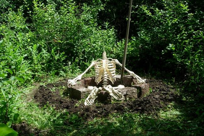 Dig Destination, View 1