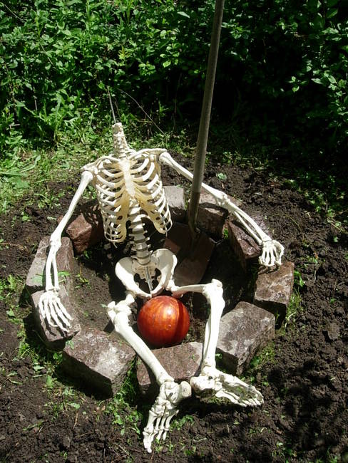 Dig Destination, View 3