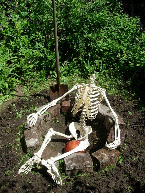 Dig Destination, View 5