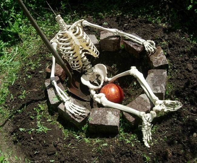 Dig Destination, View 6