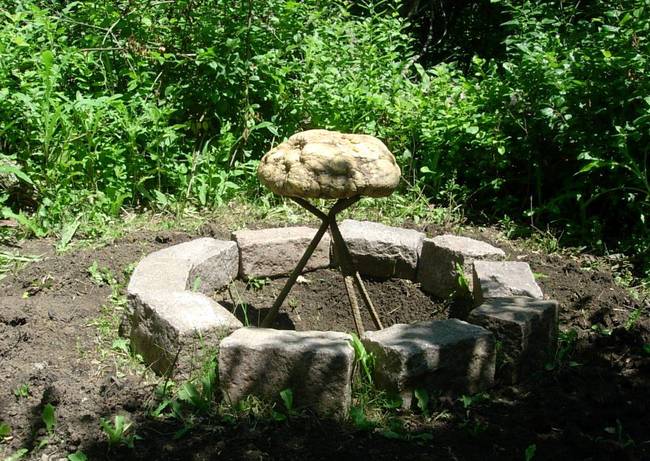 Dig Growth 1, View 1