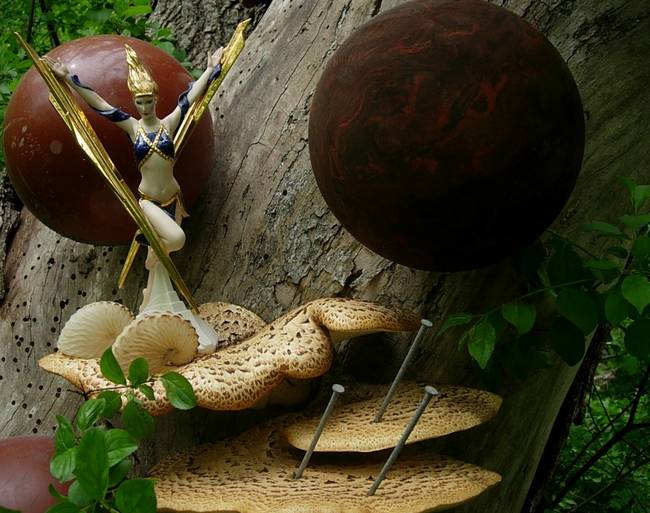 Elektra In Place, Variation 2