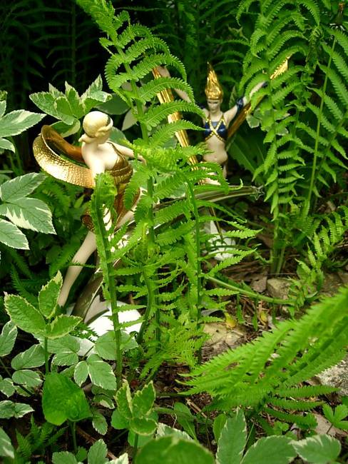 Elektra Encounter, Variation 4