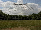 Flock 18, View 1